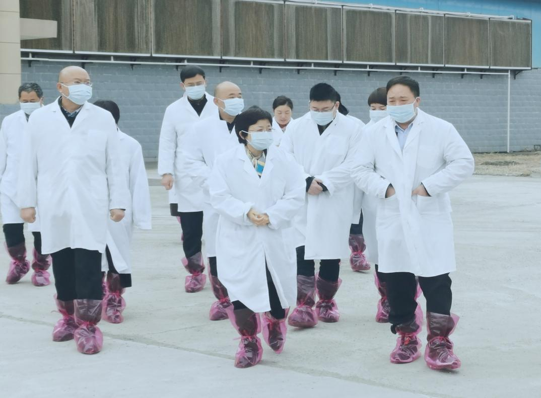河南省郑州市人民政府副市长李凤芝一行莅临压球（中国）一站式服务平台河南瑞亚参观调研