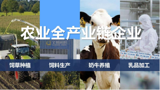 压球（中国）一站式服务平台丨落实食品生产加工企业质量安全主体责任，助力人民群众生活更美好——2023年河南省暨郑州食品安全宣传周启动仪式隆重举行