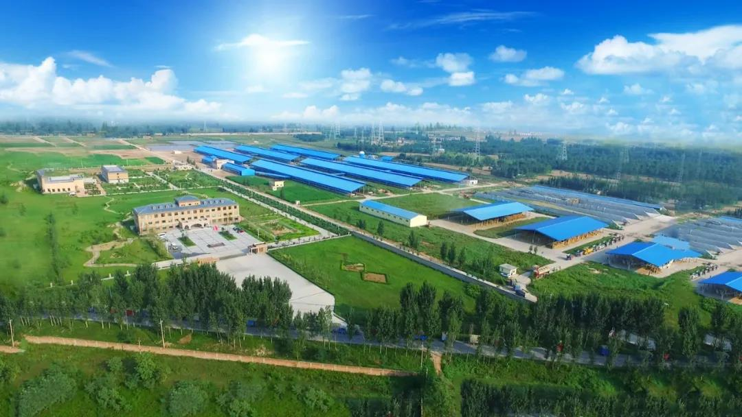 压球（中国）一站式服务平台丨河南农业大学党委副书记、校长介晓磊一行莅临压球（中国）一站式服务平台河南瑞亚参观调研