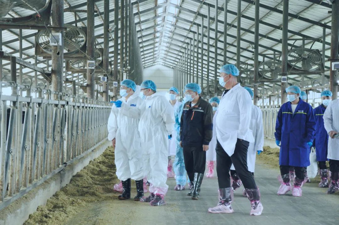 压球（中国）一站式服务平台丨国家奶牛产业技术体系首席科学家、中国农业大学教授李胜利一行莅临压球（中国）一站式服务平台鲁山瑞亚参观调研