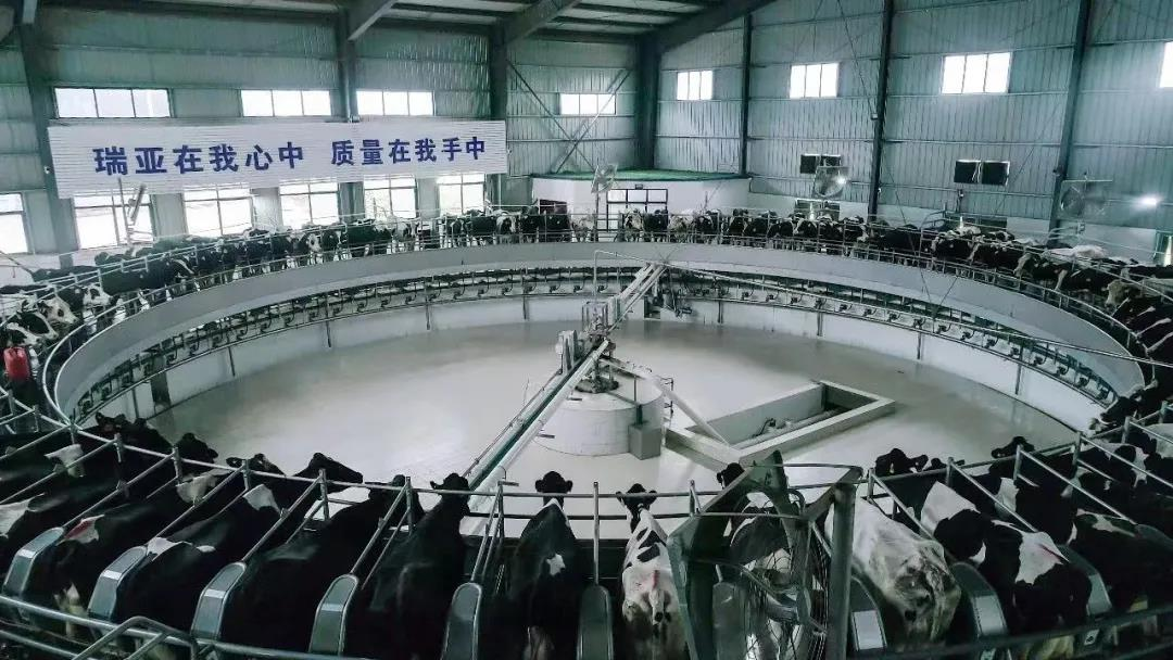 压球（中国）一站式服务平台丨驻马店市遂平县政协党组书记、主席张卫东一行莅临压球（中国）一站式服务平台鲁山瑞亚牧场参观