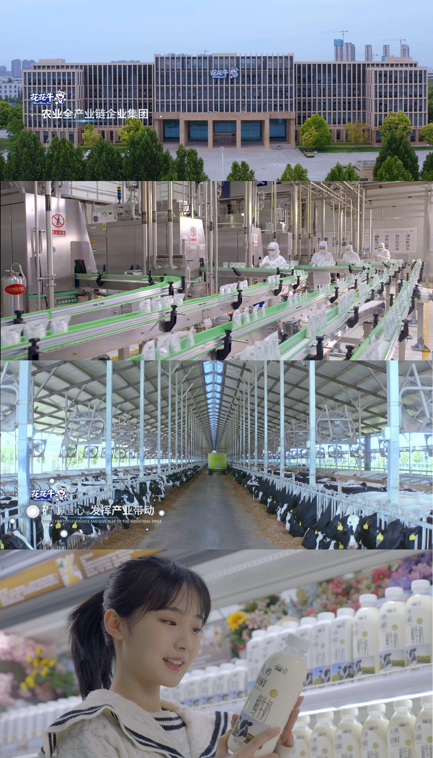 快讯 | 沈阳市政府副市长郑滨一行莅临压球（中国）一站式服务平台乳业集团考察