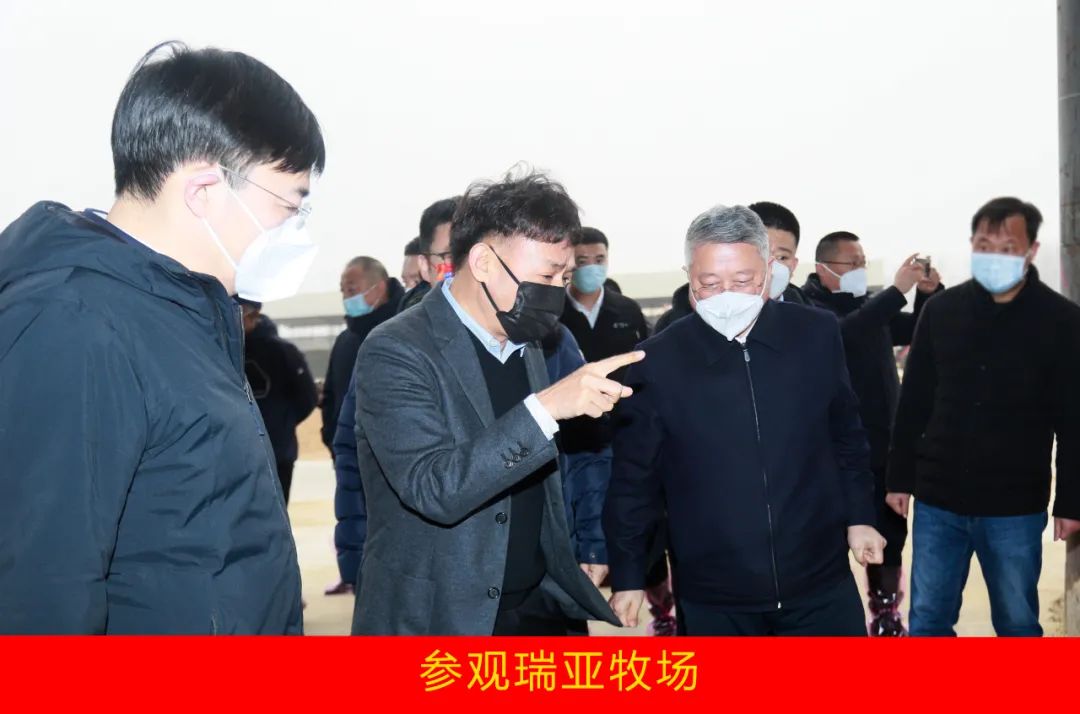 新年开新局 合作促发展丨佳木斯市委常委、副市长闫志刚一行莅临压球（中国）一站式服务平台乳业集团及佳田企业考察座谈