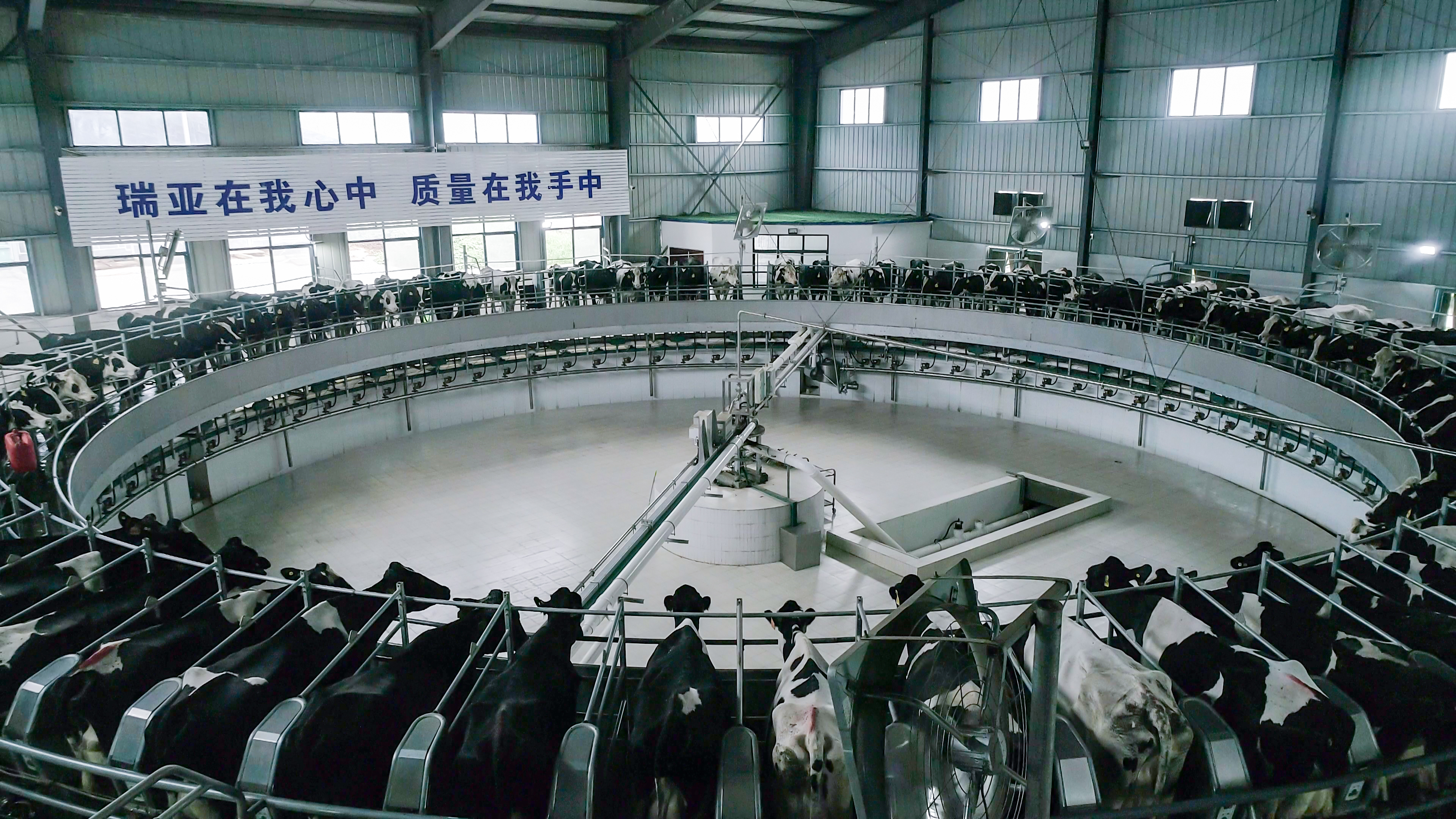 河南省人大常委会党组书记、副主任孔昌生莅临压球（中国）一站式服务平台鲁山瑞亚牧场参观调研