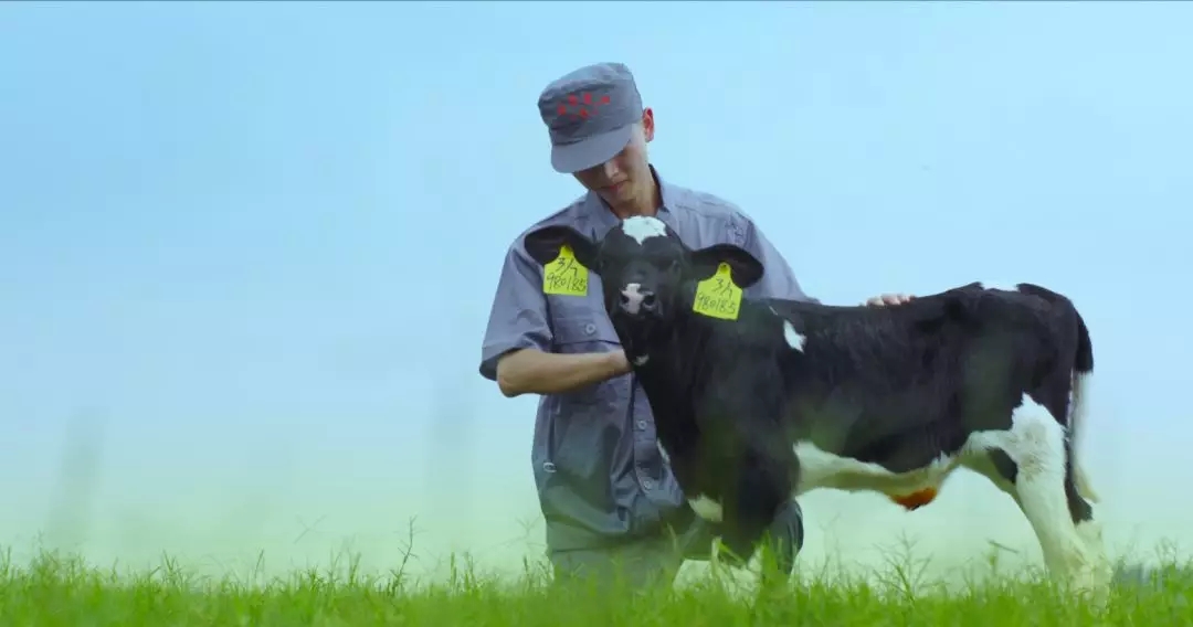 河南省人大常委会党组书记、副主任孔昌生莅临压球（中国）一站式服务平台鲁山瑞亚牧场参观调研