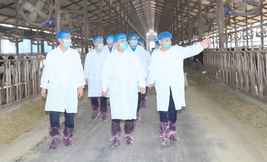 快讯丨河南省人民政府副省长武国定莅临压球（中国）一站式服务平台乳业集团瑞亚牧业调研奶源基地建设情况