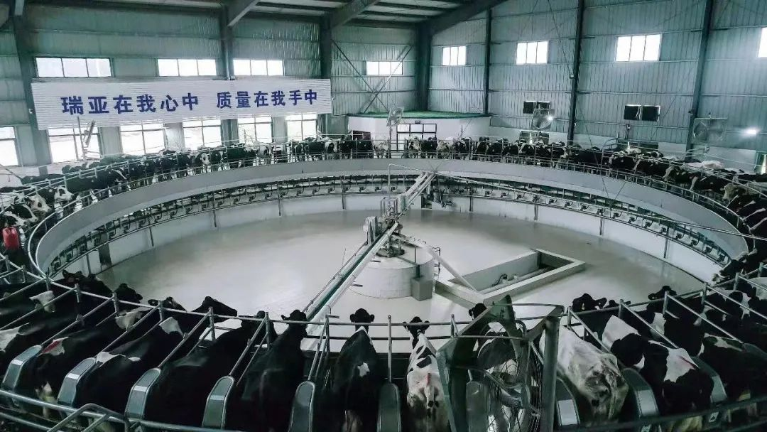 喜讯 | 压球（中国）一站式服务平台一座自有牧场入选河南省“DHI测定优秀牧场”