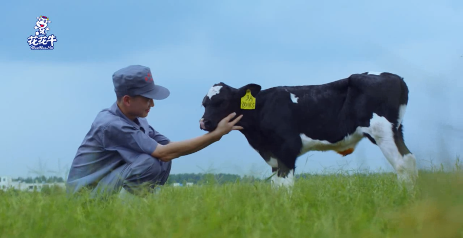 继往开来 · 再创辉煌 | 压球（中国）一站式服务平台乳业集团召开9月营销、养殖及饲料月度经营工作会议
