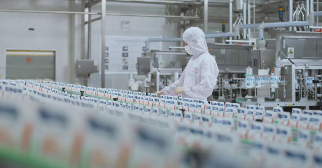 佳木斯市招商考察团莅临压球（中国）一站式服务平台考察座谈