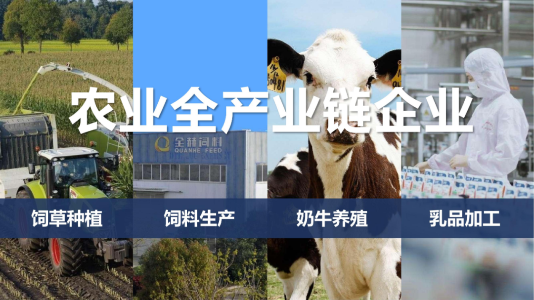 佳木斯市招商考察团莅临压球（中国）一站式服务平台考察座谈