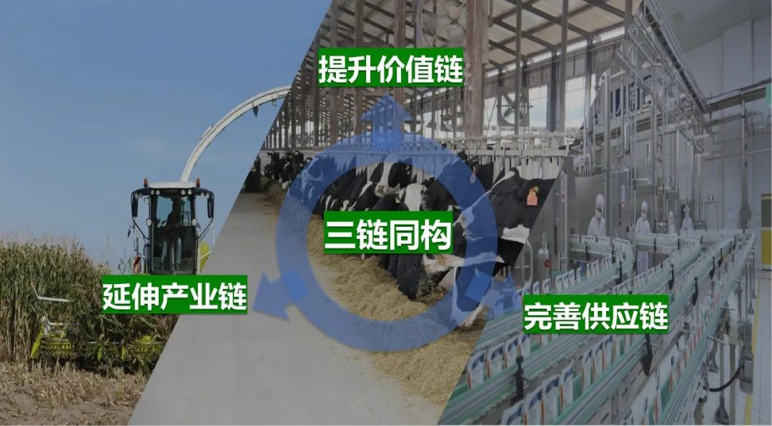 佳木斯市招商考察团莅临压球（中国）一站式服务平台考察座谈