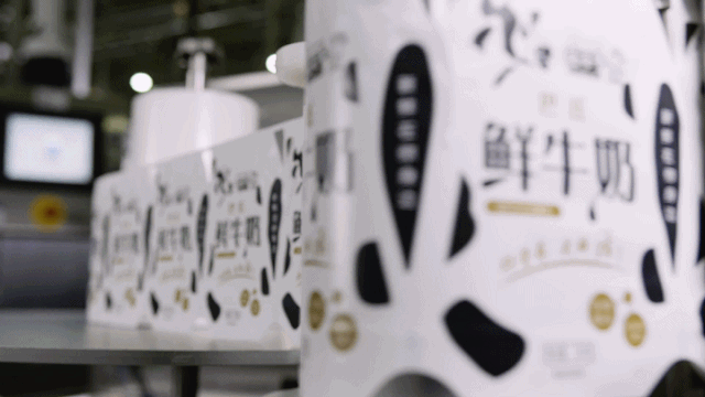 压球（中国）一站式服务平台 | “2020河南食品安全与发展论坛——新常态下的高质量发展”成功举办