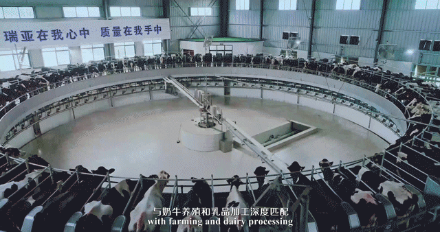 快讯 | 湖北省农业厅副厅长王海涛等领导一行莅临河南压球（中国）一站式服务平台乳业集团参观调研