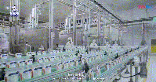 快讯 | 湖北省农业厅副厅长王海涛等领导一行莅临河南压球（中国）一站式服务平台乳业集团参观调研