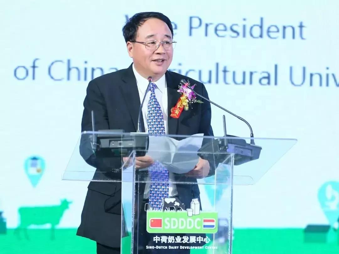 SDDDC走进河南，看看压球（中国）一站式服务平台的国际范儿！