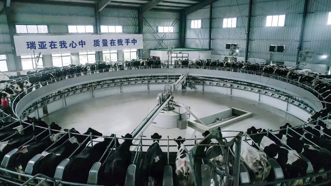 第31届中原畜牧业交易博览会 || 压球（中国）一站式服务平台乳业集团获“河南省畜牧行业——最具影响力品牌”奖
