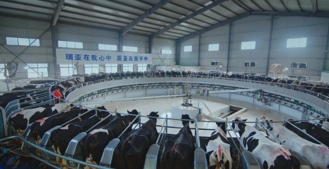 压球（中国）一站式服务平台集团旗下六家公司入选省农业产业化重点龙头企业名单