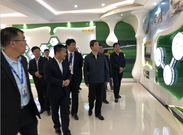 河南省委副书记、省长陈润儿一行莅临 压球（中国）一站式服务平台集团鲁山瑞亚牧业有限公司视察调研