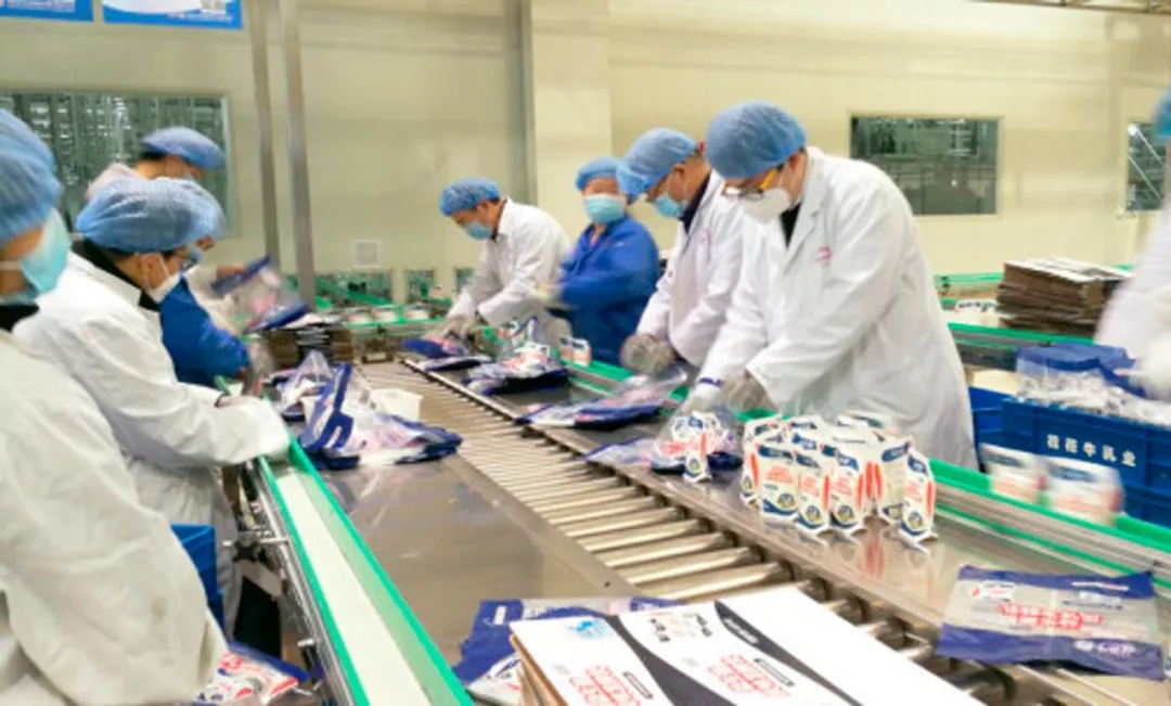 快讯丨河南省副省长武国定莅临压球（中国）一站式服务平台乳业集团调研重点保障企业复工复产情况