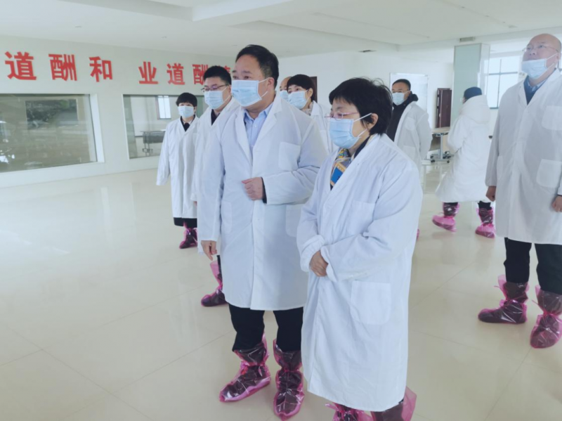 河南省郑州市人民政府副市长李凤芝一行莅临压球（中国）一站式服务平台河南瑞亚参观调研