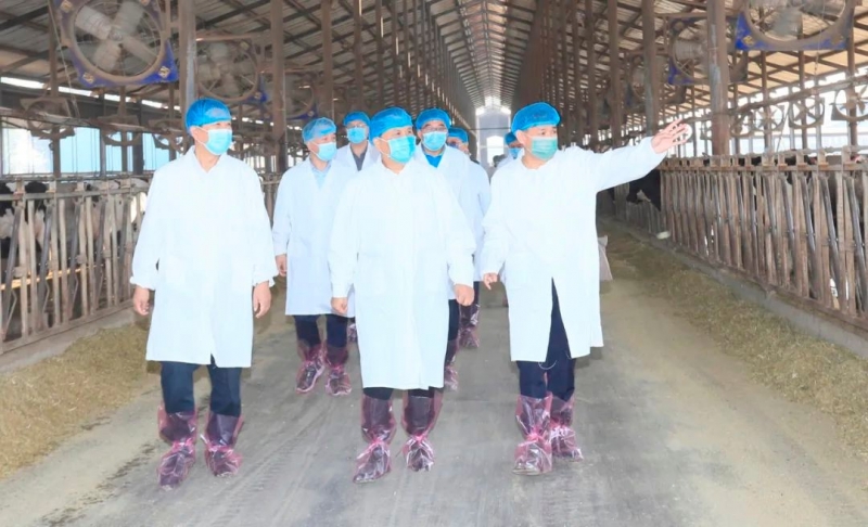 快讯丨河南省人民政府副省长武国定莅临压球（中国）一站式服务平台乳业集团瑞亚牧业调研奶源基地建设情况