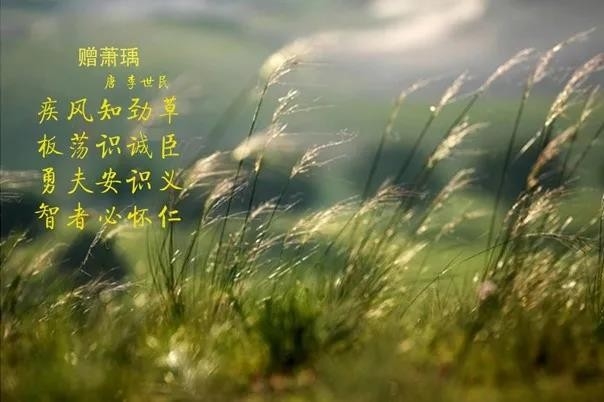压球（中国）一站式服务平台 | 疾风来临，你是不是劲草？