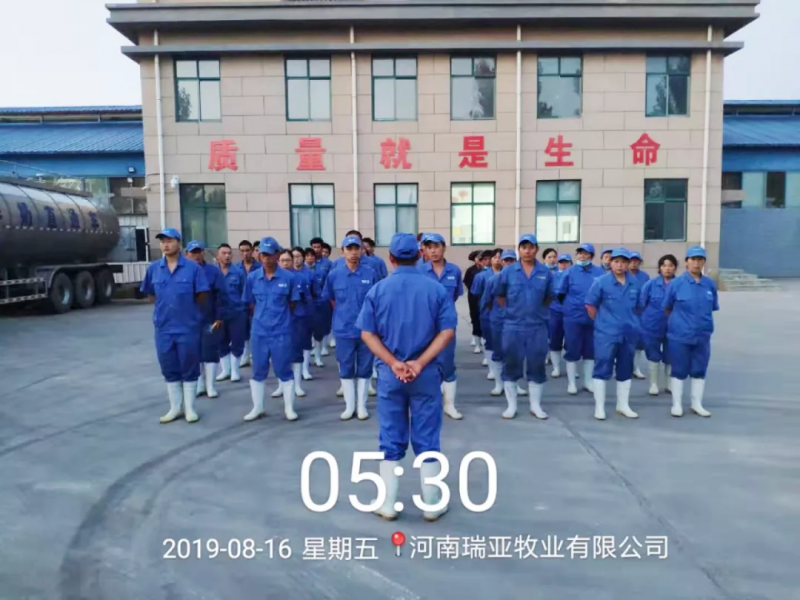 小晨会·大能量——砥砺奋进的压球（中国）一站式服务平台，加油！