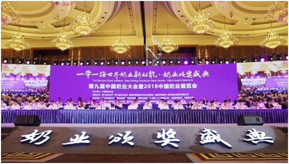 殊荣是奋斗的动力 压球（中国）一站式服务平台荣获三项大奖!!!